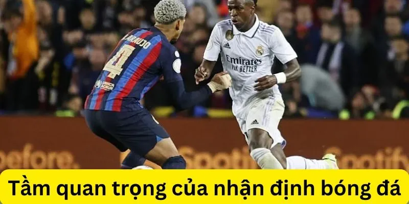 Cách soi kèo bóng đá theo các yếu tố ngoại cảnh như thời tiết, sân bãi