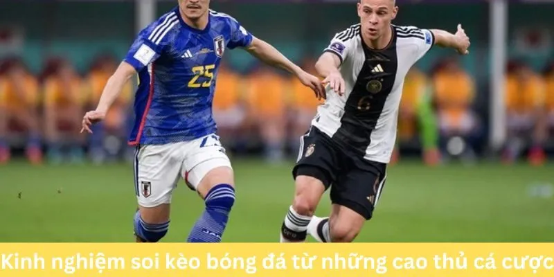 Kinh nghiệm soi kèo bóng đá từ những cao thủ cá cược