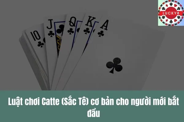 Tìm hiểu game bài Catte (Sắc Tê) Luật chơi đơn giản và chiến thuật bất bại